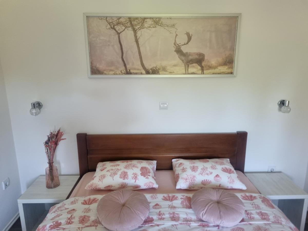 4 Seasons Guest House Раковица Екстер'єр фото
